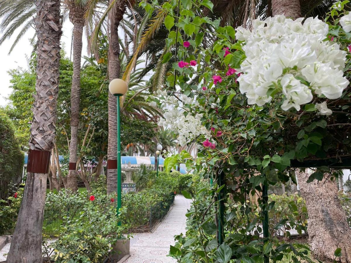Surycan Tropical Garden Apartment Playa del Inglés Buitenkant foto