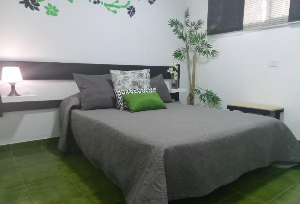 Surycan Tropical Garden Apartment Playa del Inglés Buitenkant foto